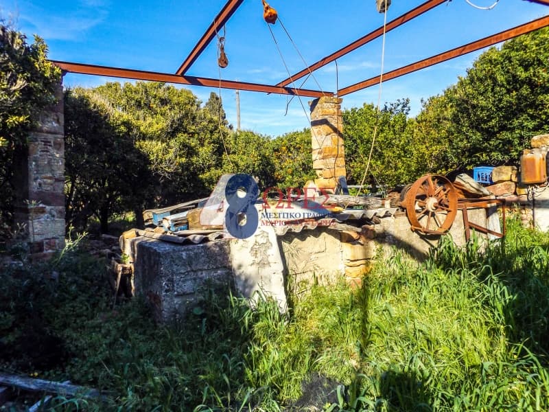 House in Agios Minas, Chios — Photo 14 of 19