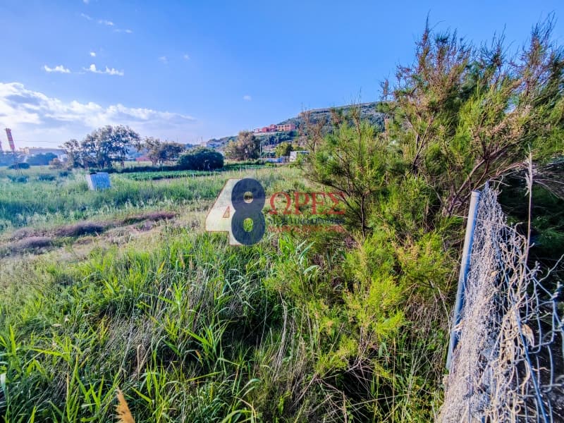 Parcel in Agios Minas, Chios — Photo 6 of 13