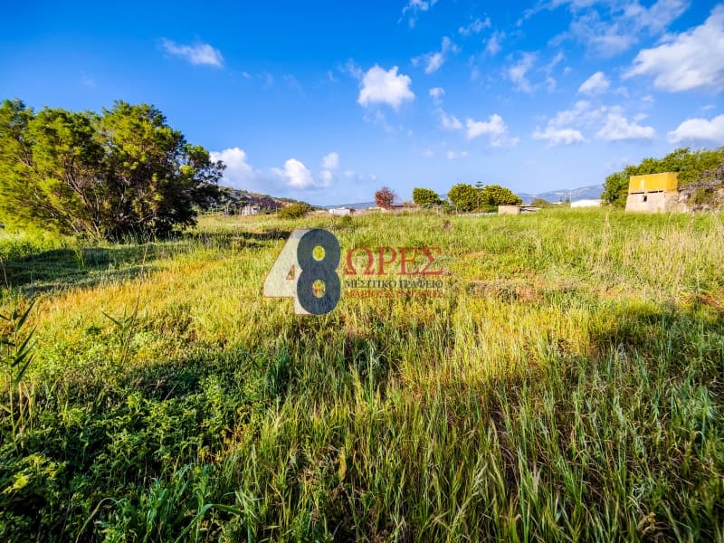 Parcel in Agios Minas, Chios — Photo 11 of 13