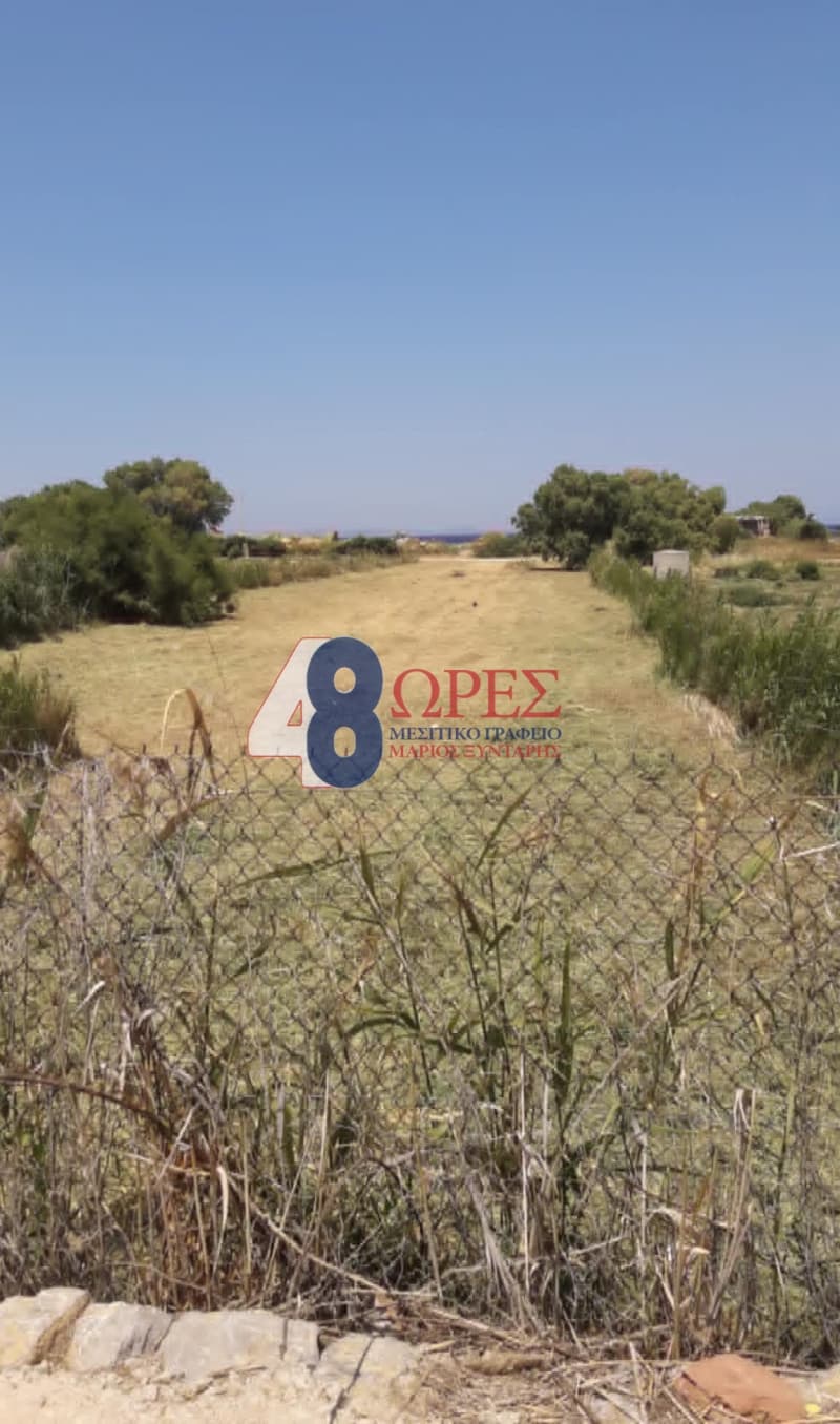 Parcel in Agios Minas, Chios — Photo 2 of 3