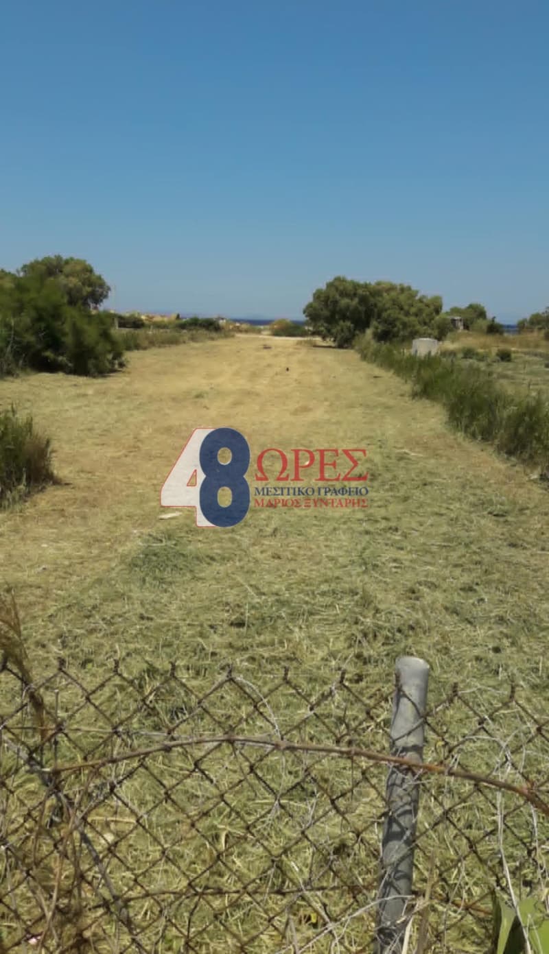 Parcel in Agios Minas, Chios — Photo 1 of 3