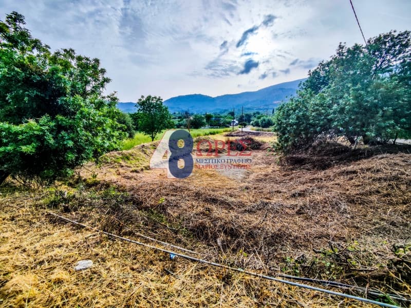 Building Plot in Kampochoria, Chios — Photo 12 of 15