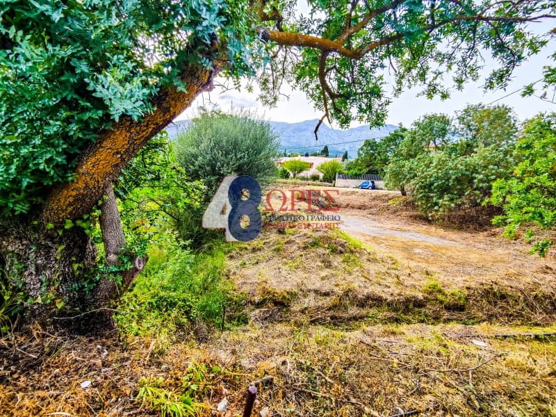 Building Plot in Kampochoria, Chios — Photo 15 of 15