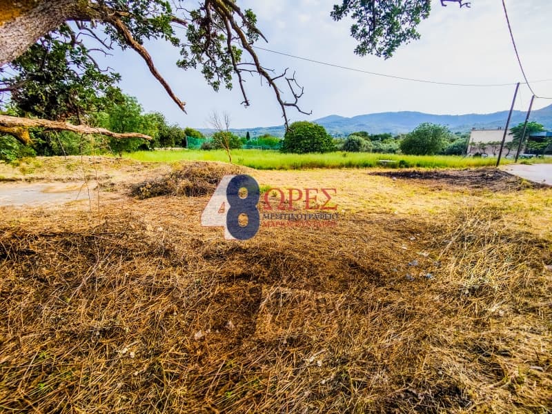 Building Plot in Kampochoria, Chios — Photo 6 of 15
