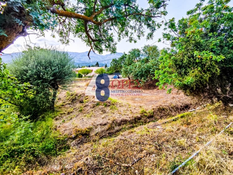Building Plot in Kampochoria, Chios — Photo 14 of 15