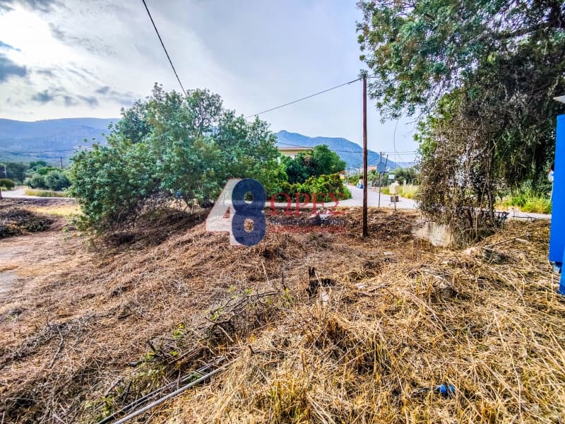 Building Plot in Kampochoria, Chios — Photo 10 of 15