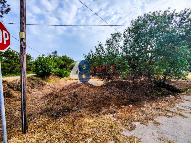 Building Plot in Kampochoria, Chios — Photo 8 of 15