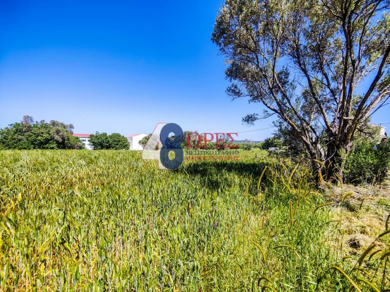 Building Plot in Kampochoria, Chios — Photo 8 of 14