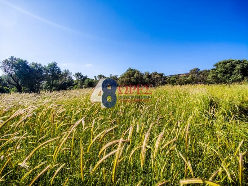 Building Plot in Kampochoria, Chios — Photo 13 of 14