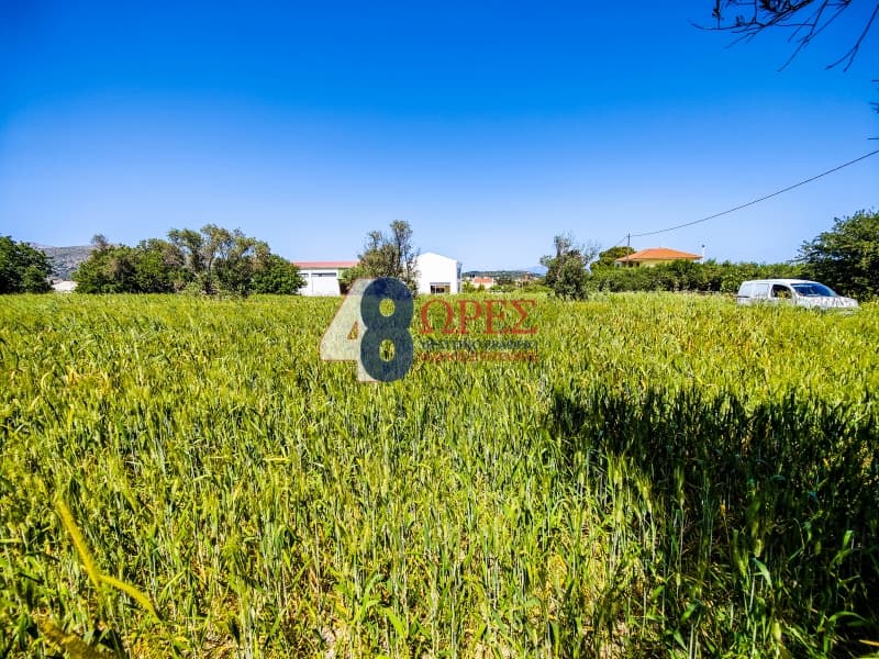 Building Plot in Kampochoria, Chios — Photo 4 of 14