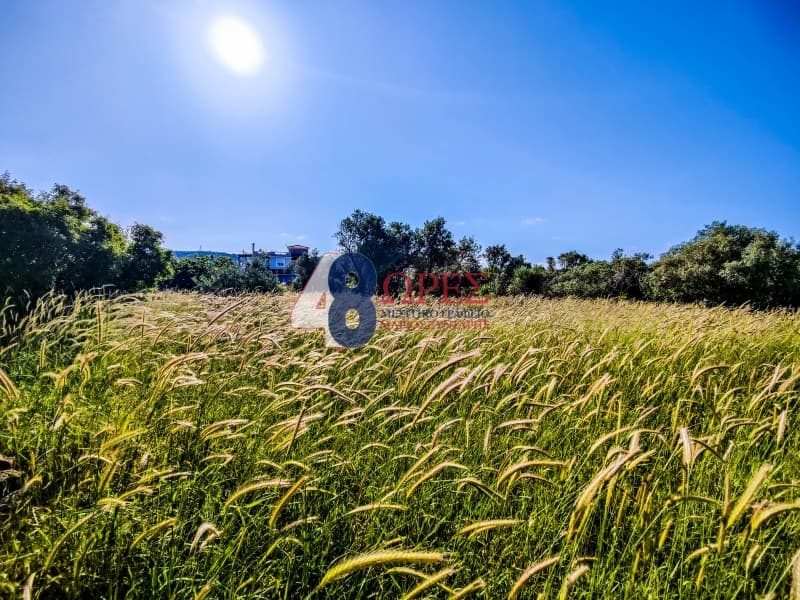Building Plot in Kampochoria, Chios — Photo 12 of 14