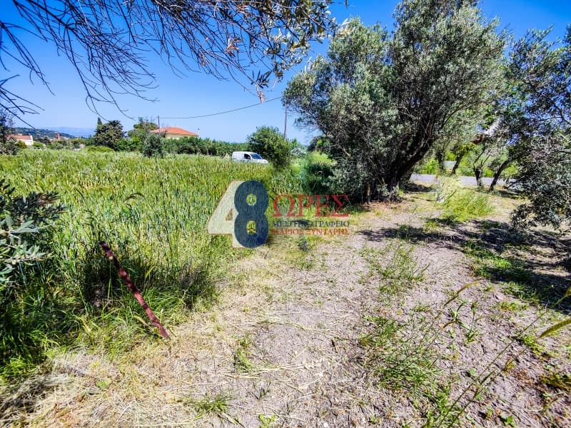 Building Plot in Kampochoria, Chios — Photo 14 of 14