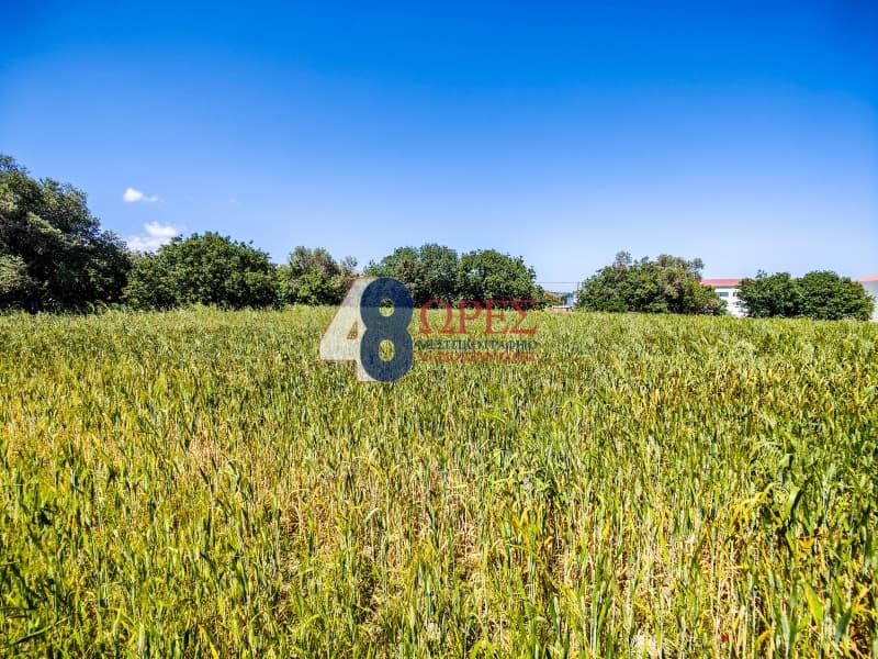 Building Plot in Kampochoria, Chios — Photo 6 of 14