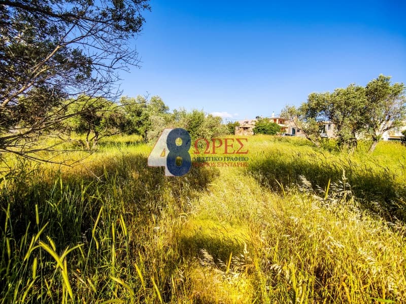 Building Plot in Kampochoria, Chios — Photo 11 of 14