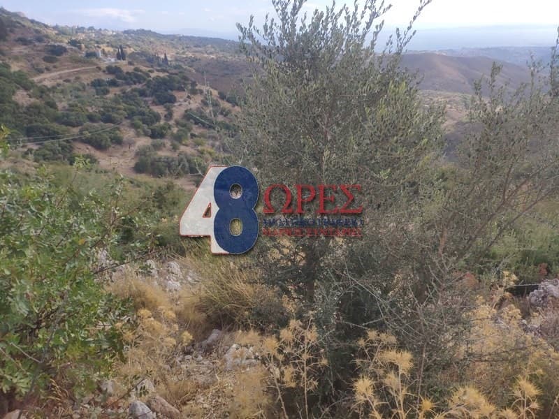 Building Plot in Omiroupoli, Chios — Photo 21 of 24
