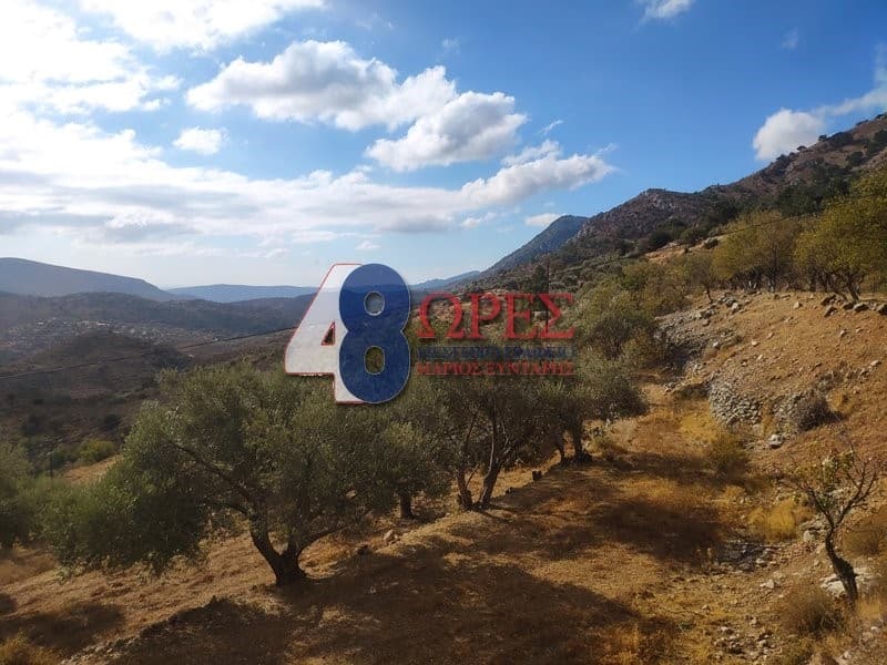 Building Plot in Omiroupoli, Chios — Photo 11 of 24