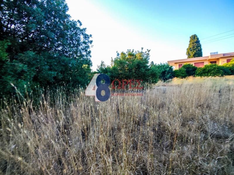 Building Plot in Agios Minas, Chios — Photo 16 of 17