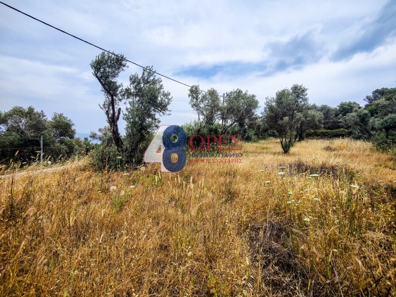 Building Plot in Ionia, Chios — Photo 9 of 10