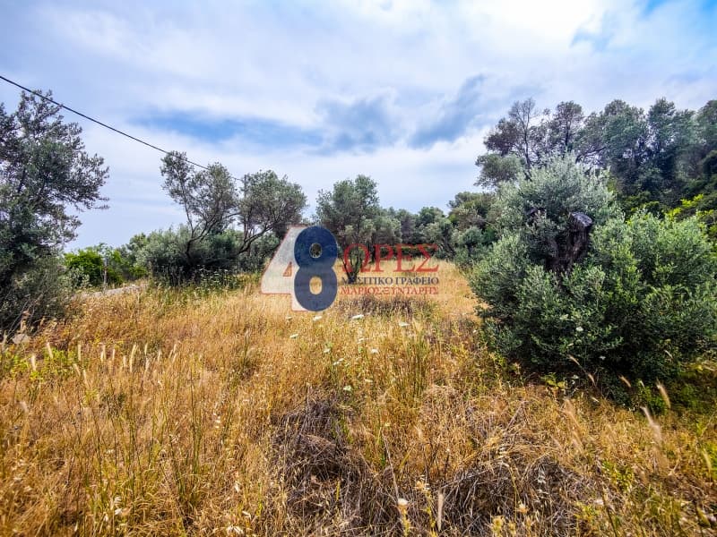 Building Plot in Ionia, Chios — Photo 8 of 10