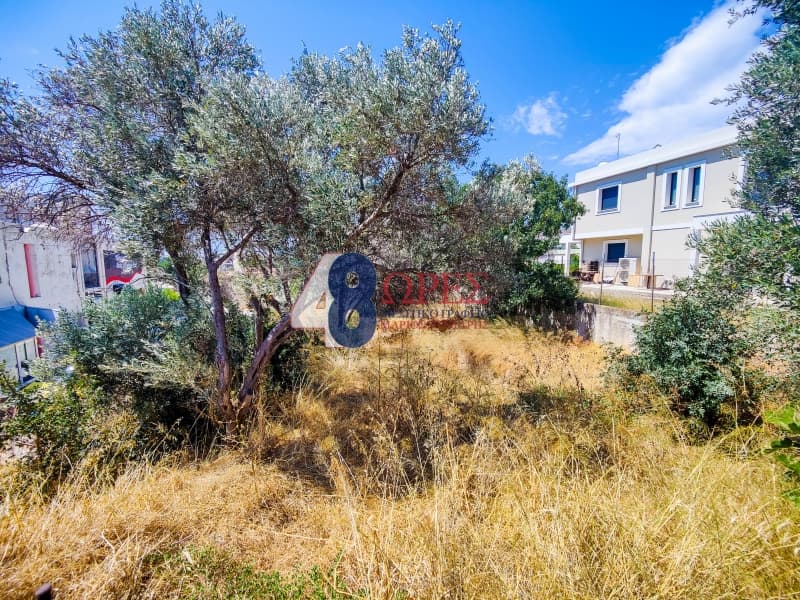 Building Plot in Chios town, Chios — Photo 4 of 13