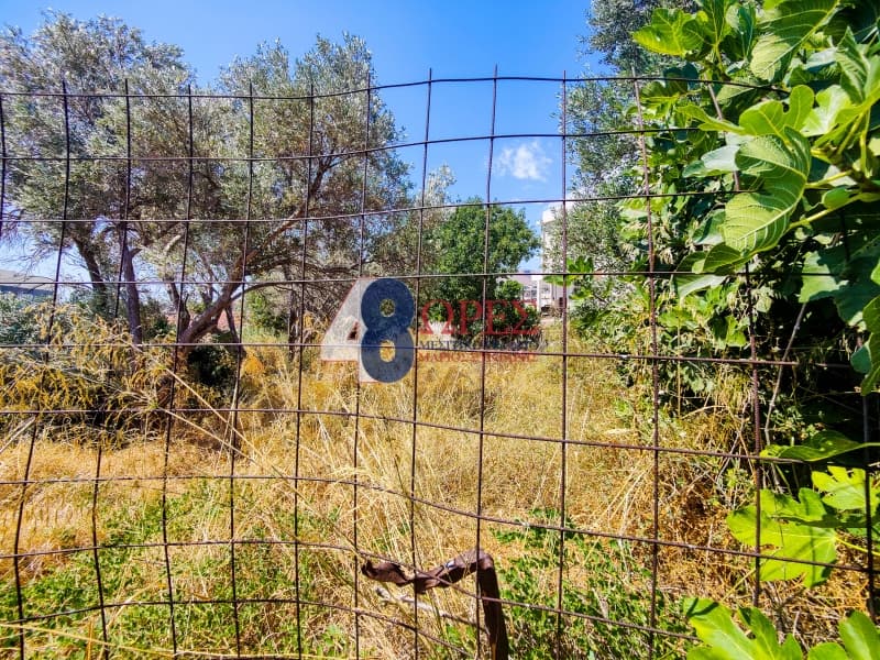 Building Plot in Chios town, Chios — Photo 3 of 13