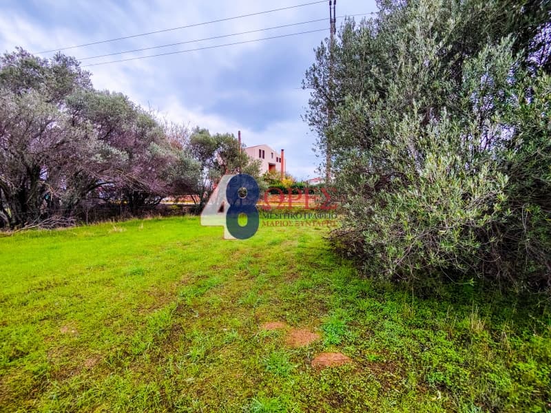 Building Plot in Agios Minas, Chios — Photo 5 of 23