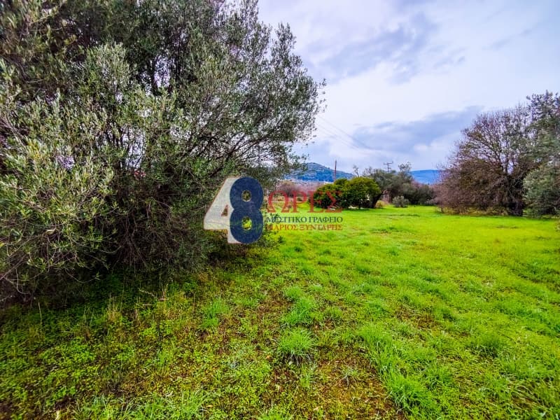 Building Plot in Agios Minas, Chios — Photo 4 of 23