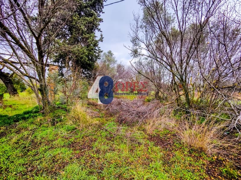 Building Plot in Agios Minas, Chios — Photo 9 of 23