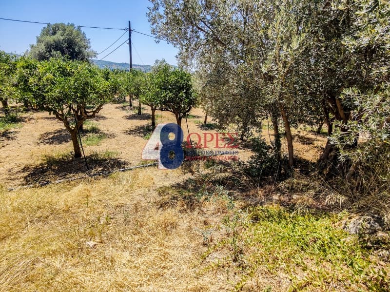 Building Plot in Agios Minas, Chios — Photo 5 of 25