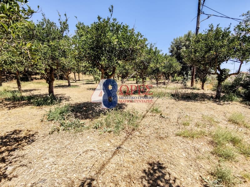 Building Plot in Agios Minas, Chios — Photo 25 of 25