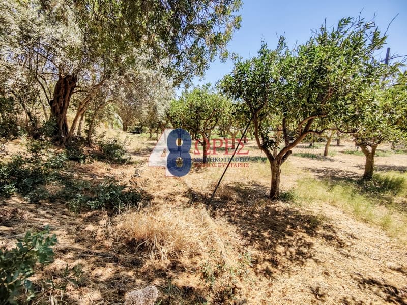 Building Plot in Agios Minas, Chios — Photo 21 of 25