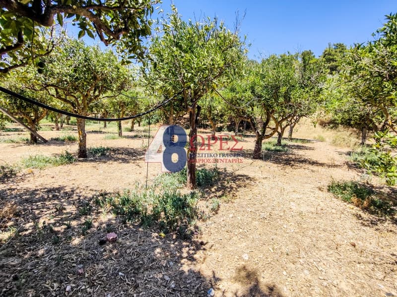 Building Plot in Agios Minas, Chios — Photo 1 of 25