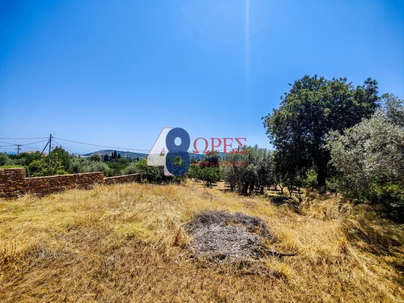 Building Plot in Agios Minas, Chios — Photo 7 of 25