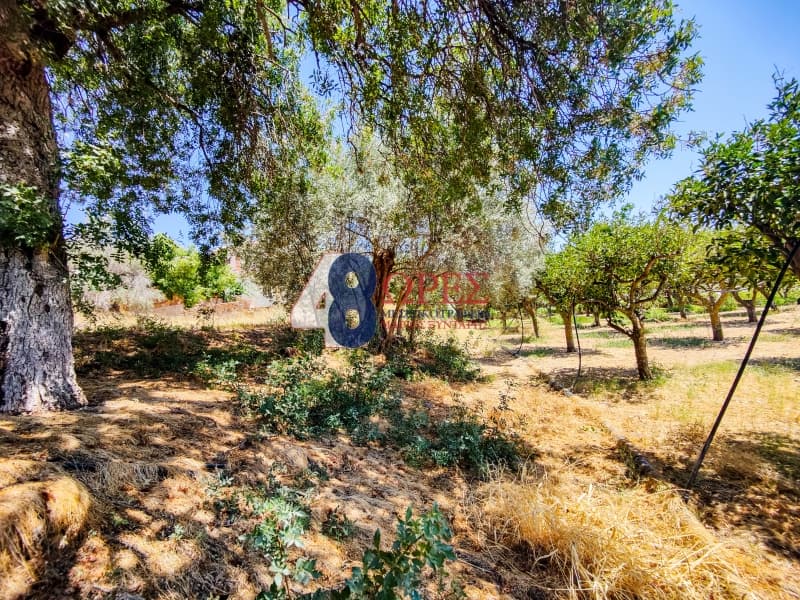 Building Plot in Agios Minas, Chios — Photo 22 of 25
