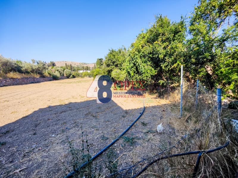 Building Plot in Chios town, Chios — Photo 10 of 25