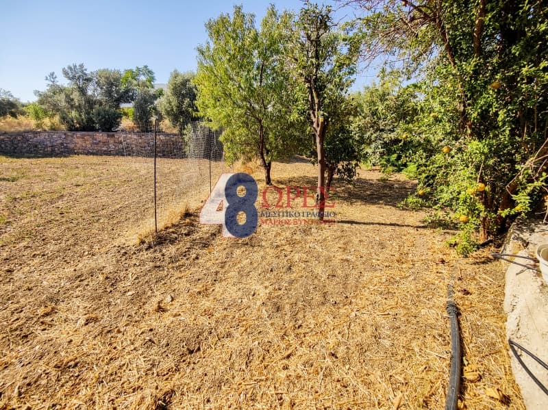 Building Plot in Chios town, Chios — Photo 4 of 25