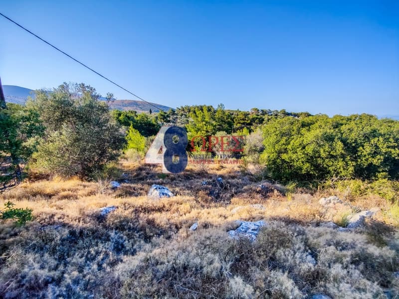 Οικόπεδο στην Πόλη Χίου, Χίος — Φωτογραφία 12 από 15