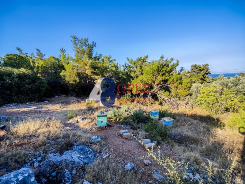 Οικόπεδο στην Πόλη Χίου, Χίος — Φωτογραφία 7 από 15