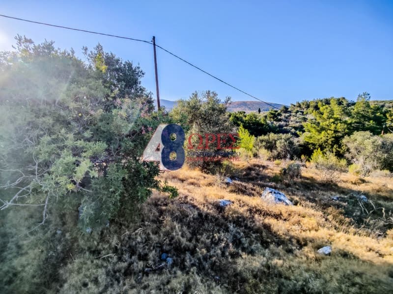 Οικόπεδο στην Πόλη Χίου, Χίος — Φωτογραφία 11 από 15