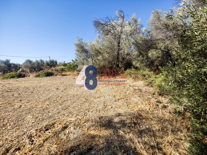 Building Plot in Ionia, Chios — Photo 1 of 9