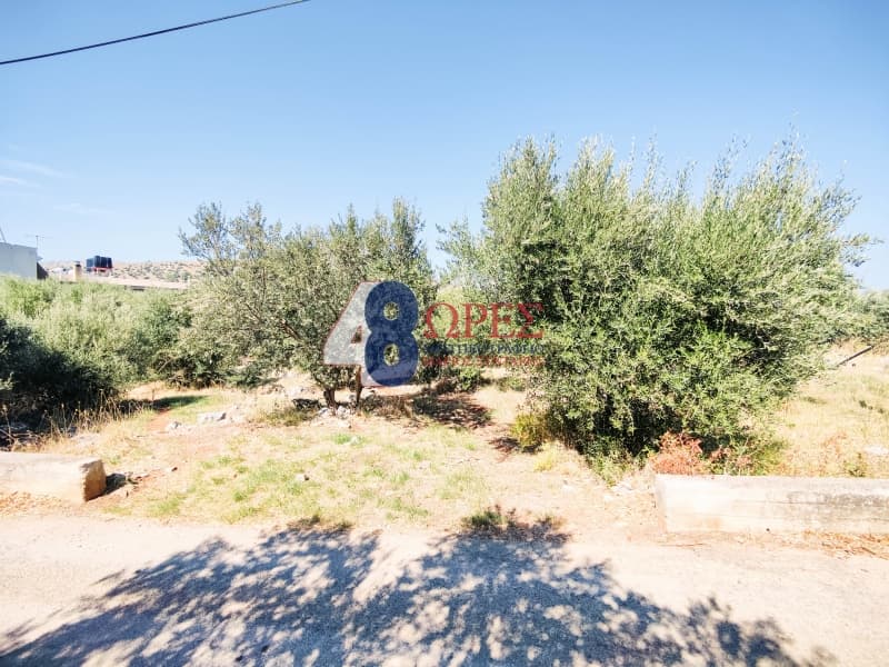 Οικόπεδο στην Πόλη Χίου, Χίος — Φωτογραφία 12 από 19