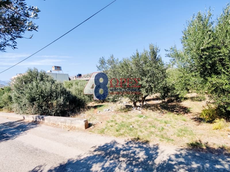 Οικόπεδο στην Πόλη Χίου, Χίος — Φωτογραφία 6 από 19