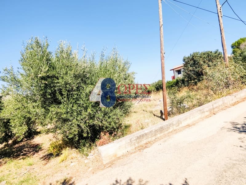 Οικόπεδο στην Πόλη Χίου, Χίος — Φωτογραφία 13 από 19