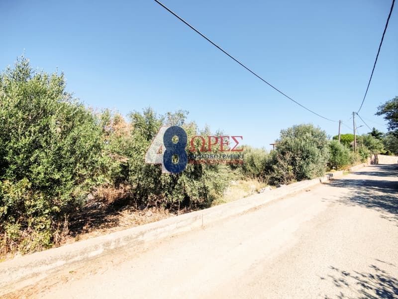 Οικόπεδο στην Πόλη Χίου, Χίος — Φωτογραφία 14 από 19