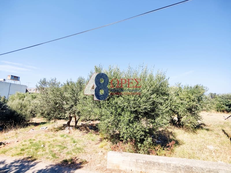 Οικόπεδο στην Πόλη Χίου, Χίος — Φωτογραφία 10 από 19