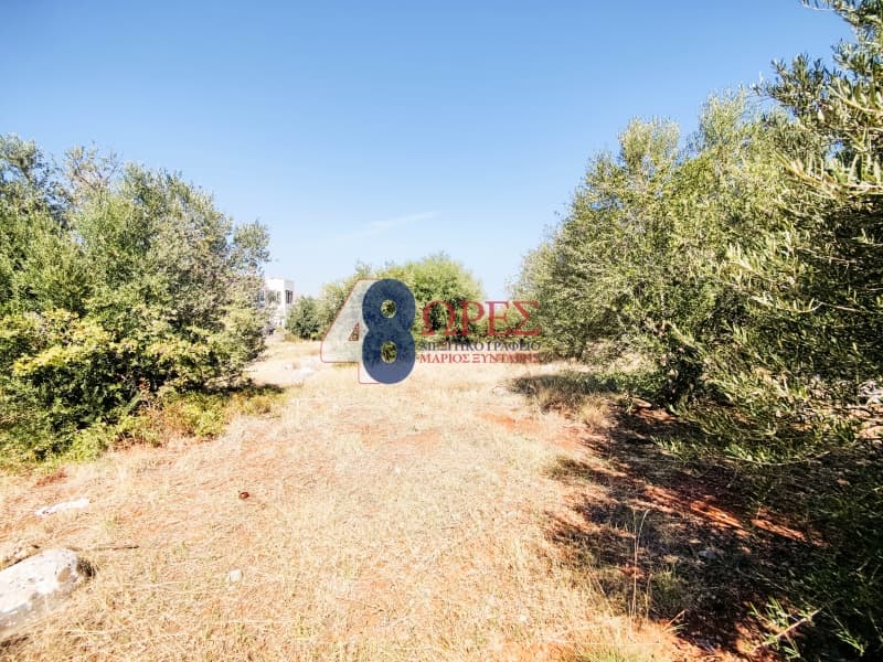 Οικόπεδο στην Πόλη Χίου, Χίος — Φωτογραφία 18 από 19
