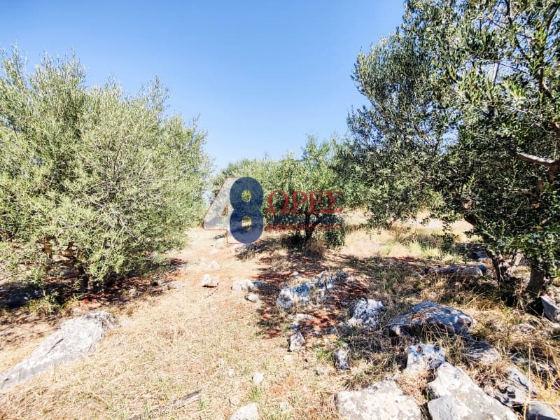 Οικόπεδο στην Πόλη Χίου, Χίος — Φωτογραφία 15 από 19