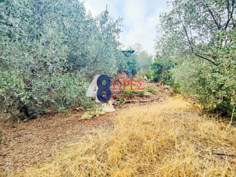 Οικόπεδο στην Άγιος Μηνάς, Χίος — Φωτογραφία 8 από 13