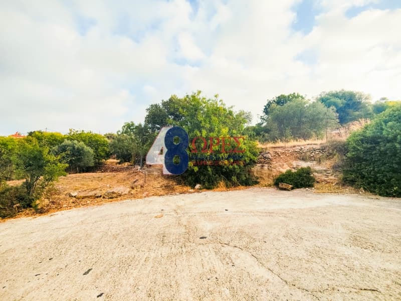 Οικόπεδο στην Άγιος Μηνάς, Χίος — Φωτογραφία 11 από 13