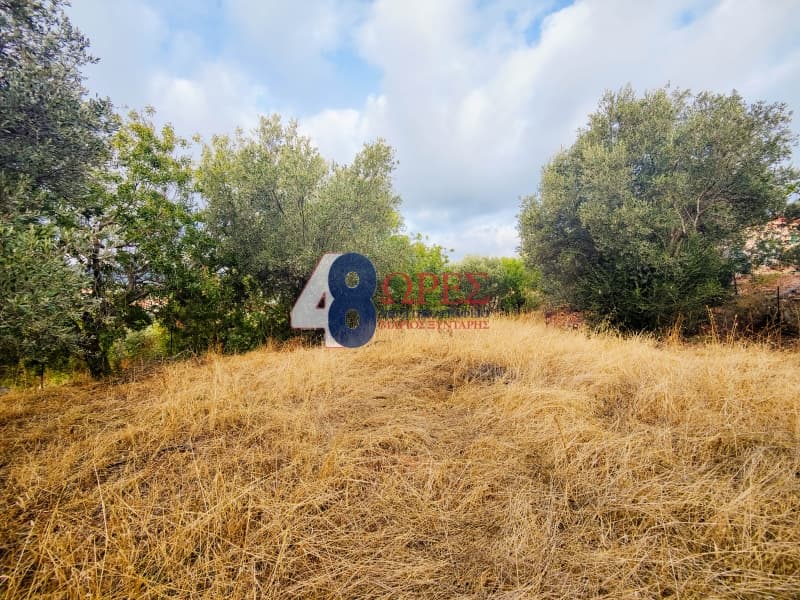 Οικόπεδο στην Άγιος Μηνάς, Χίος — Φωτογραφία 7 από 13